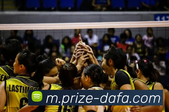 大发官网平台生态图